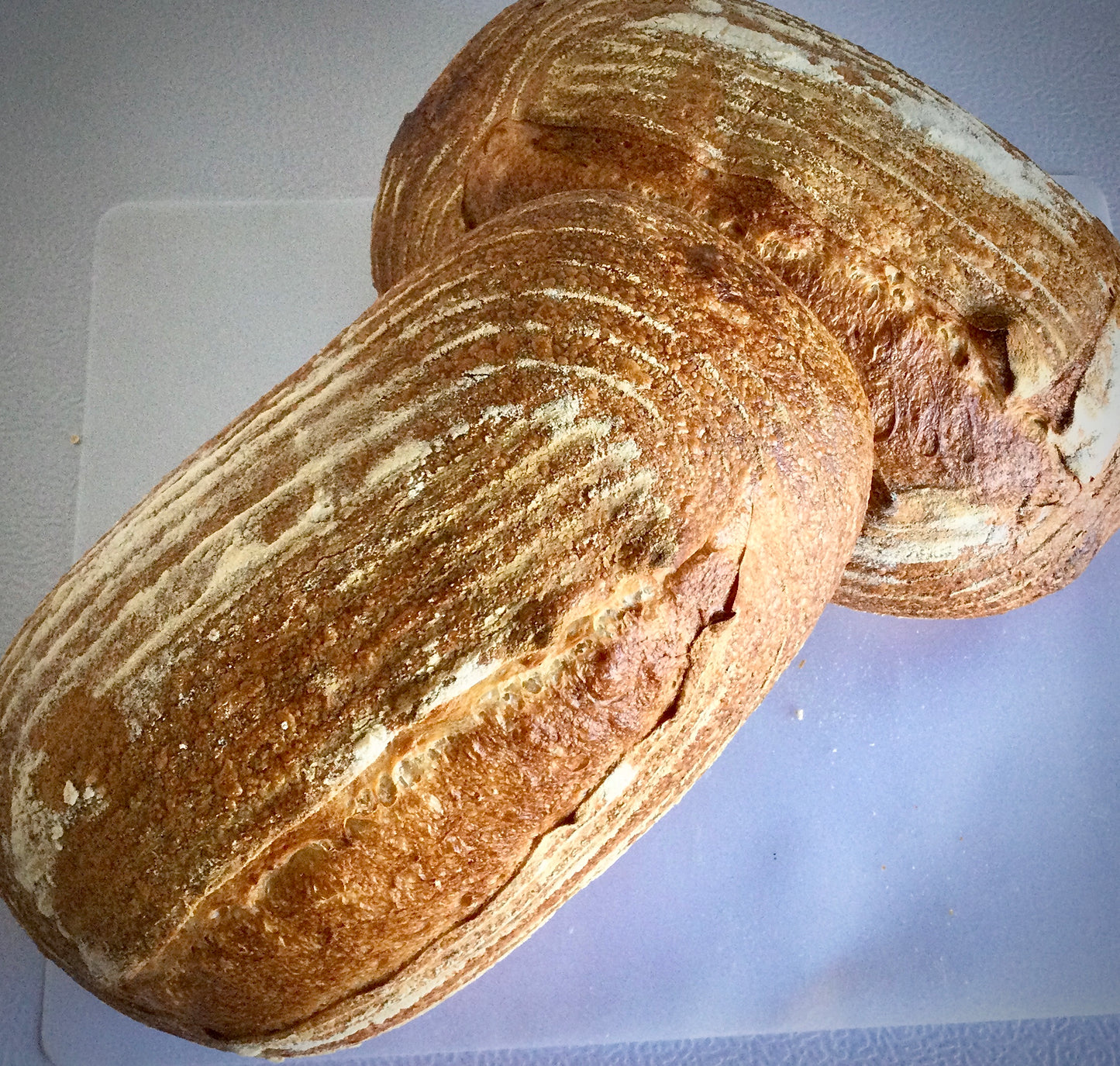 Organic Sourdough Loaf - 700g