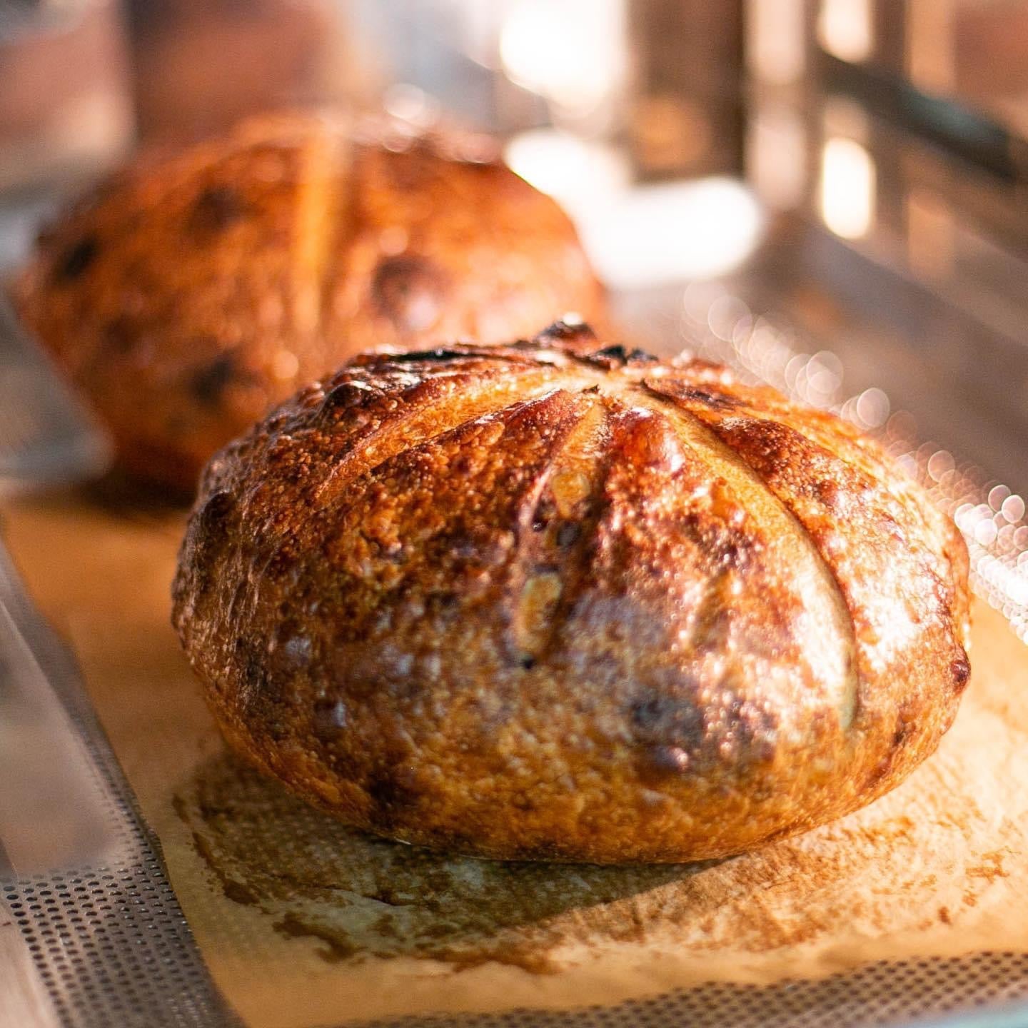 Cranberry Pecan Sourdough Loaf